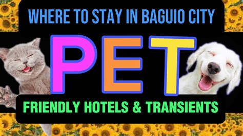 Pet Treasure Veterinary Clinic in Baguio City, Benguet .